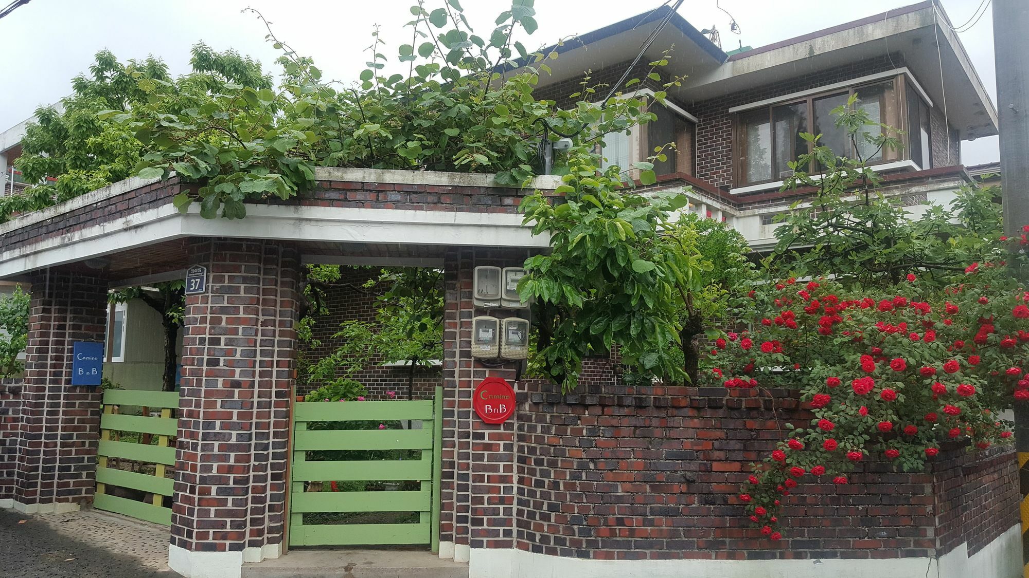 Camino B&B تَنوان المظهر الخارجي الصورة