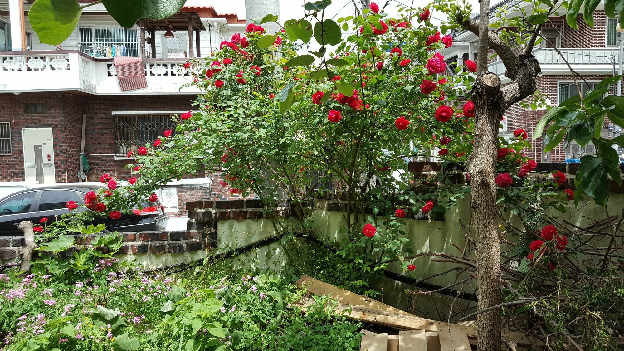 Camino B&B تَنوان المظهر الخارجي الصورة